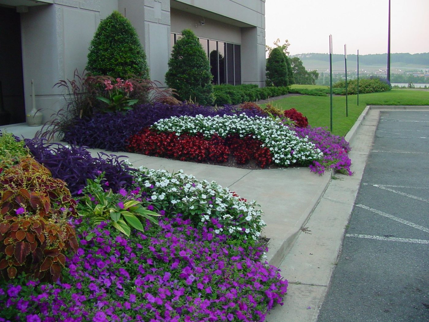 Commercial seasonal color