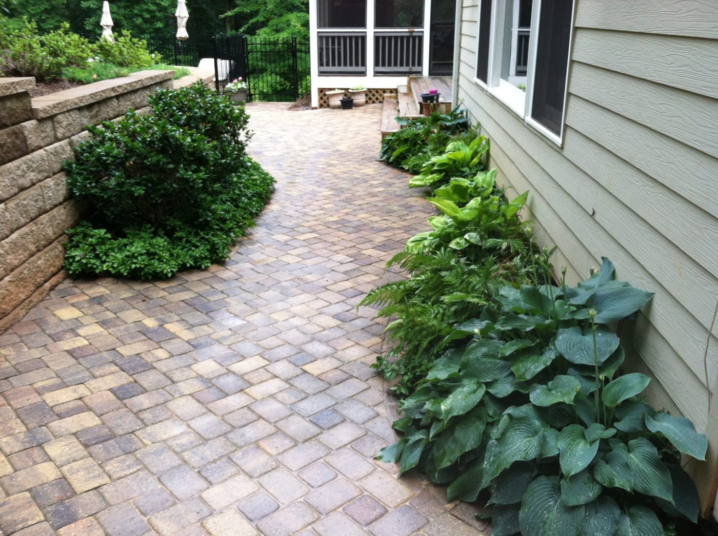 Paver walkway with shade plantings
